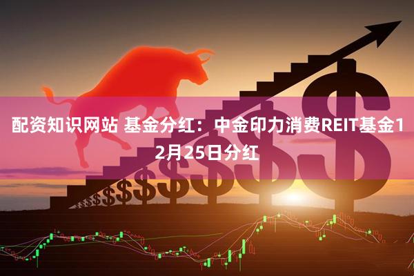 配资知识网站 基金分红：中金印力消费REIT基金12月25日分红