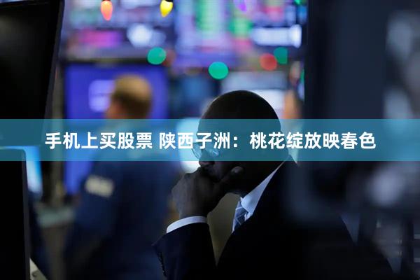 手机上买股票 陕西子洲：桃花绽放映春色